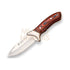 Cuchillo desollador Joker Venado, virola inox, cachas madera roja, hoja de 7,5 cm.funda...